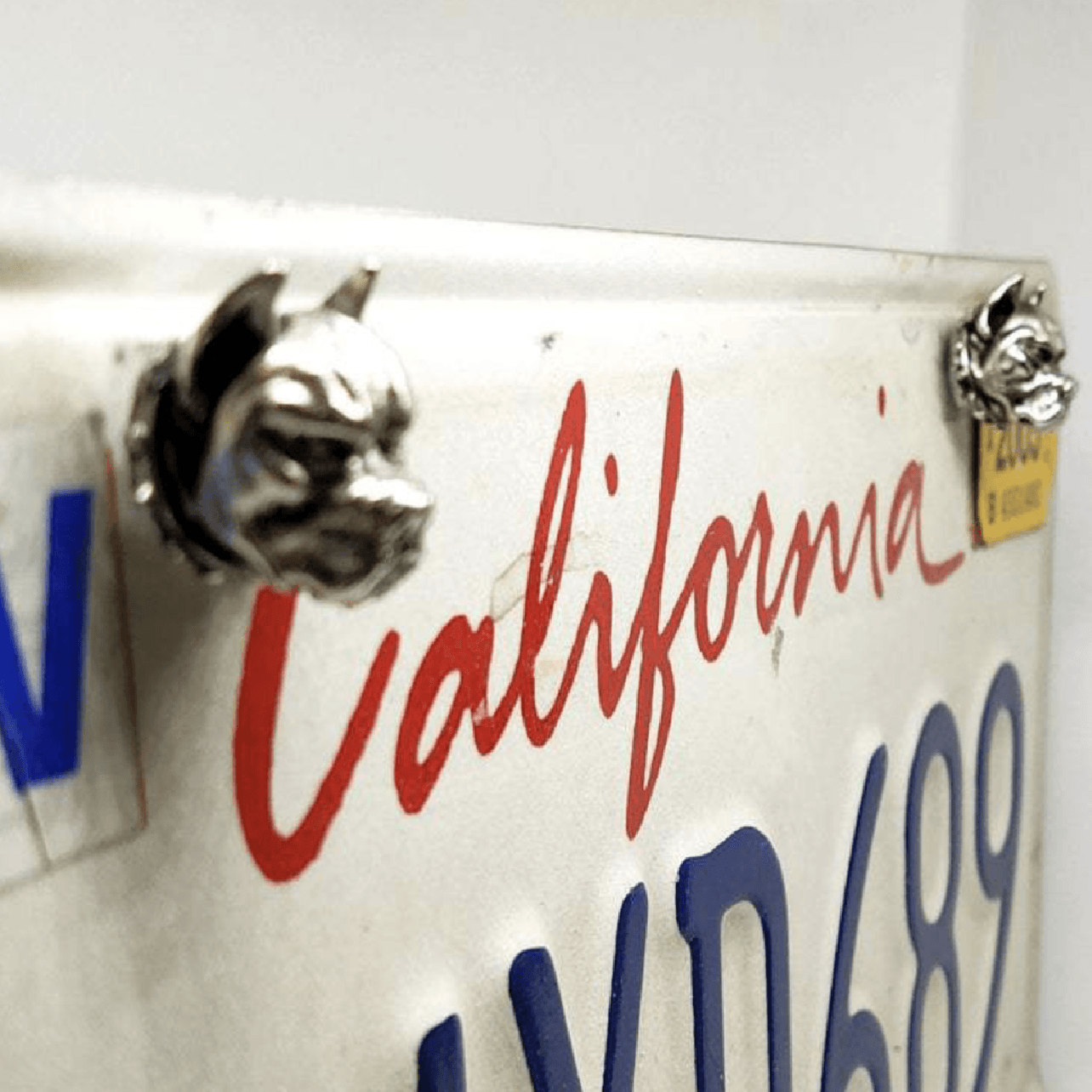 License plate custom bolts —— Vicious Dog - motorlucky